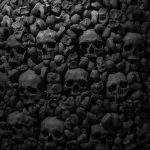 Collection of skulls and bones covered with spider web and dust in the catacombs. Numerous creepy skulls in the dark. Abstract concept symbolizing death, terror, and evil.
