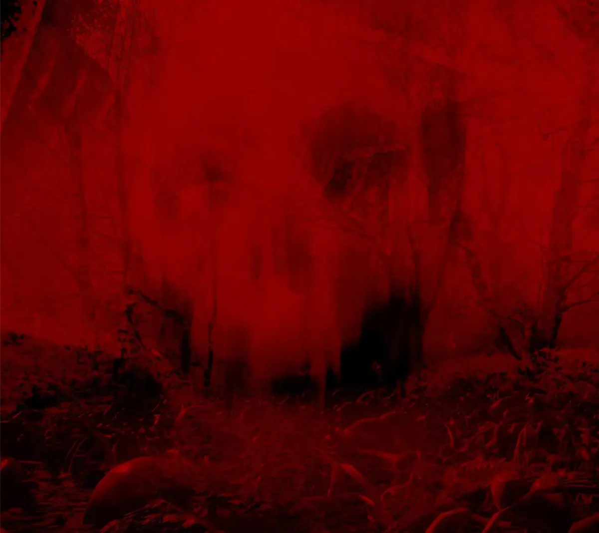 bloodSkull
